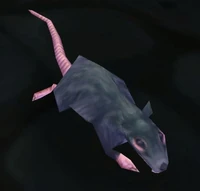 Underbelly Rat