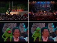 Golden-Jubilee-Kermit-2002-06-03--02