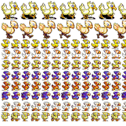 Chocobos