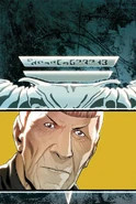 Spock Reflections 4
