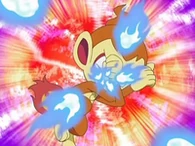 EP562 Chimchar sufriendo fuego fatuo