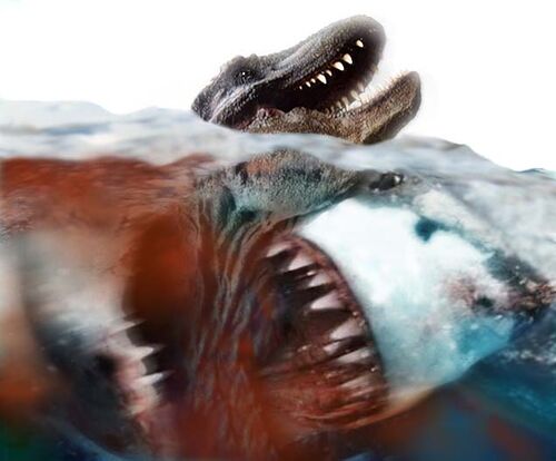 Megalodon - Sea Monsters Wiki