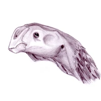 Khaan mckennai profile1