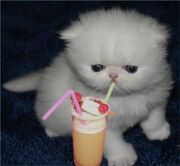 Cuteypie!