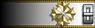 Sleeve insignia.