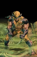 Wolverine Origins Vol 1 37 Textless