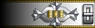 Shoulder insignia.