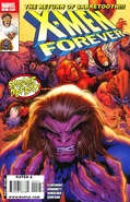 X-Men Forever Vol 2 2