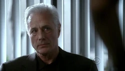 Paul Romano 2009