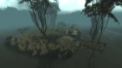 Flooded Sinkhole