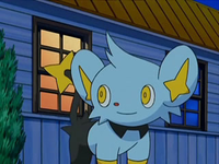 http://images3.wikia.nocookie.net/__cb20090627115417/es.pokemon/images/4/40/EP567_Shinx.png