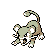 Rattata oro variocolor