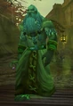 Plagued Dragonflayer Rune-Caster.jpg