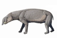 Astrapotherium