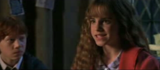 [11]Hermione telling Harry and Ron of her theory about Tom Riddle and the diary.It was during her second school year that Hermione first encountered the ... - HERMI