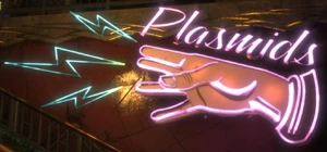 Bshock plasmidsign.jpg