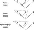 Clade types.svg.png