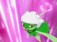 EP570 Roserade (3)