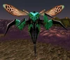Hazzali Wasp