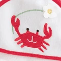 SeashoreCrab.jpg