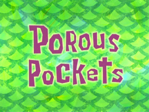 Porous_Pockets.jpg