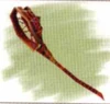 Priest's Racket