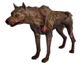 Vicious dog