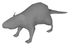 Rat beta model