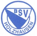 BSVLogo.jpg