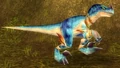 Mottled Razormaw.jpg