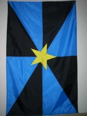 RealNPOflag