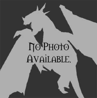 Dragon nopic