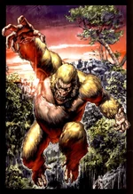 Congorilla 003