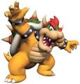 Bowser 15