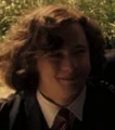 Young sirius.JPG