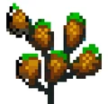 Dried Nettles.PNG
