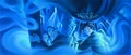 HP5 Cover.jpg
