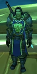Knight-Captain Drosche
