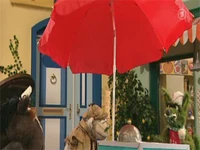 Folge2492-5