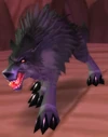 Shadow (Wolf)