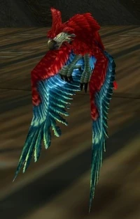 Image of Defias Companion