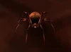 Plagued Insect