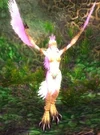 Bloodfeather Wind Witch