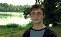 Harry Near Lake.jpg