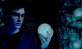 Harry With Prof.jpg