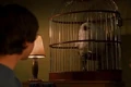 Harry Potter 2 2.jpg