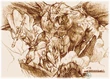 EarlyFFIX-Dragon battle