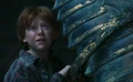 Ron bravery.PNG