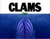 Clams