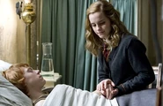 Ron hermbedside